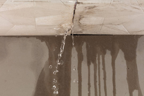 Professional Structural Drying technician working in Pentwater, MI